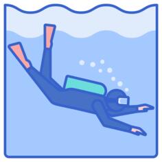 Diver
