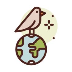 鸟类