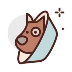 Cone of shame