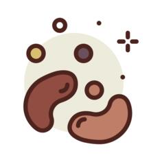 Beans