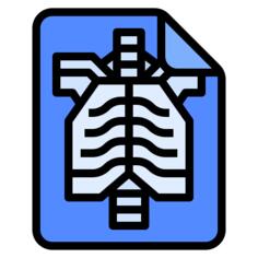 X ray