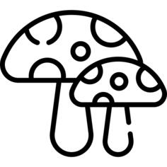 蘑菇