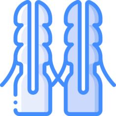 墙上插头