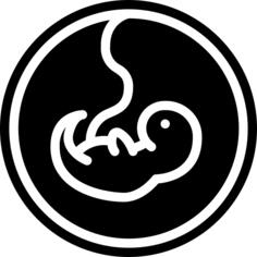 Fetus
