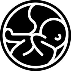 Womb