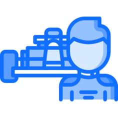 Formula 1