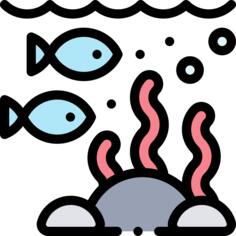 Sealife