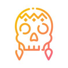 头骨