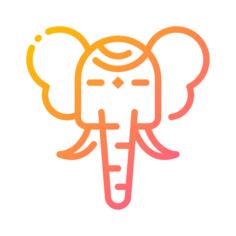 象