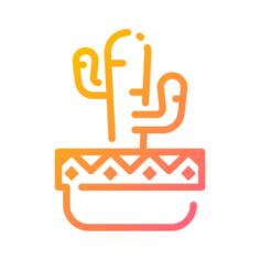 仙人掌