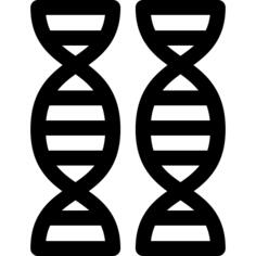 脱氧核糖核酸
