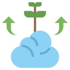 Growth