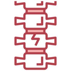 Spine