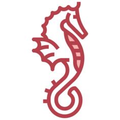 Seahorse