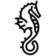 Seahorse