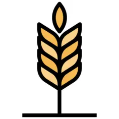 Barley