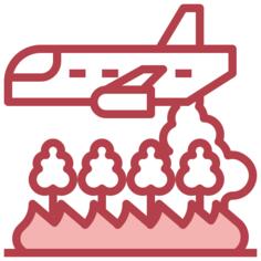 Airplane