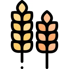 麸质
