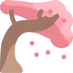 樱