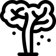 樱