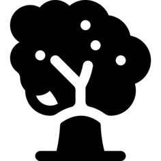 Walnut tree