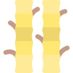 Bamboo