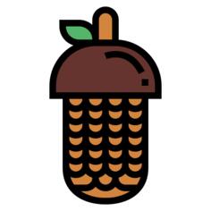 Pine cone