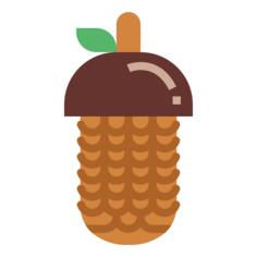 Pine cone