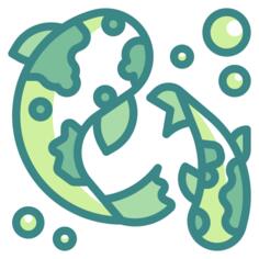 鱼