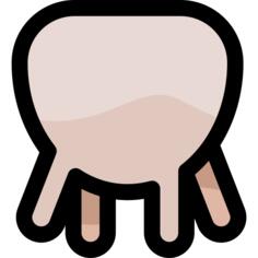 Udder