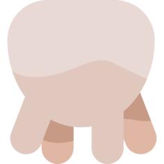 Udder