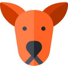 Kangaroo