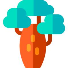Baobab