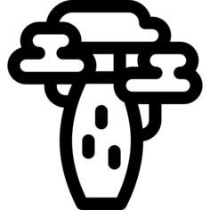 Baobab