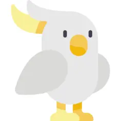 Cockatoo