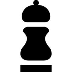 Salt shaker