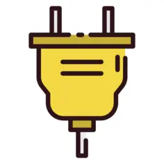 Plug