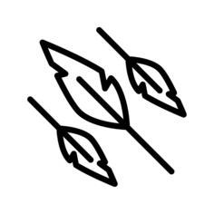 Feathers