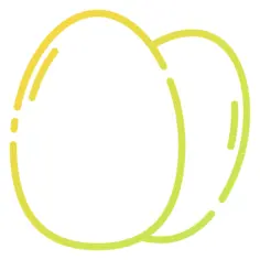 蛋