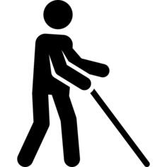Walking stick