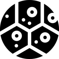 血细胞