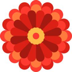 Chrysanthemum