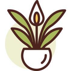 植物