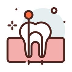 Root