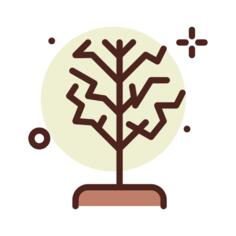 枯树