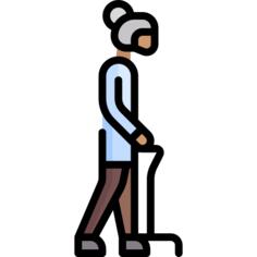 Walking stick