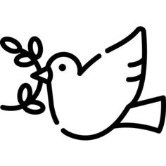 Dove