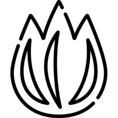 火