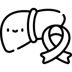 Liver