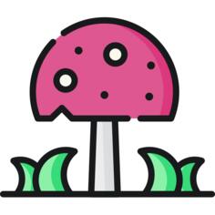 蘑菇